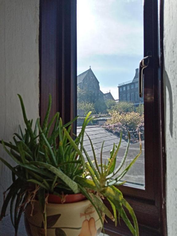 Townhouse Wexford Villa ภายนอก รูปภาพ